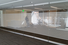 Decorative Window Film Design Northern VA