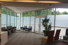 Privacy Window Film Fairfax VA
